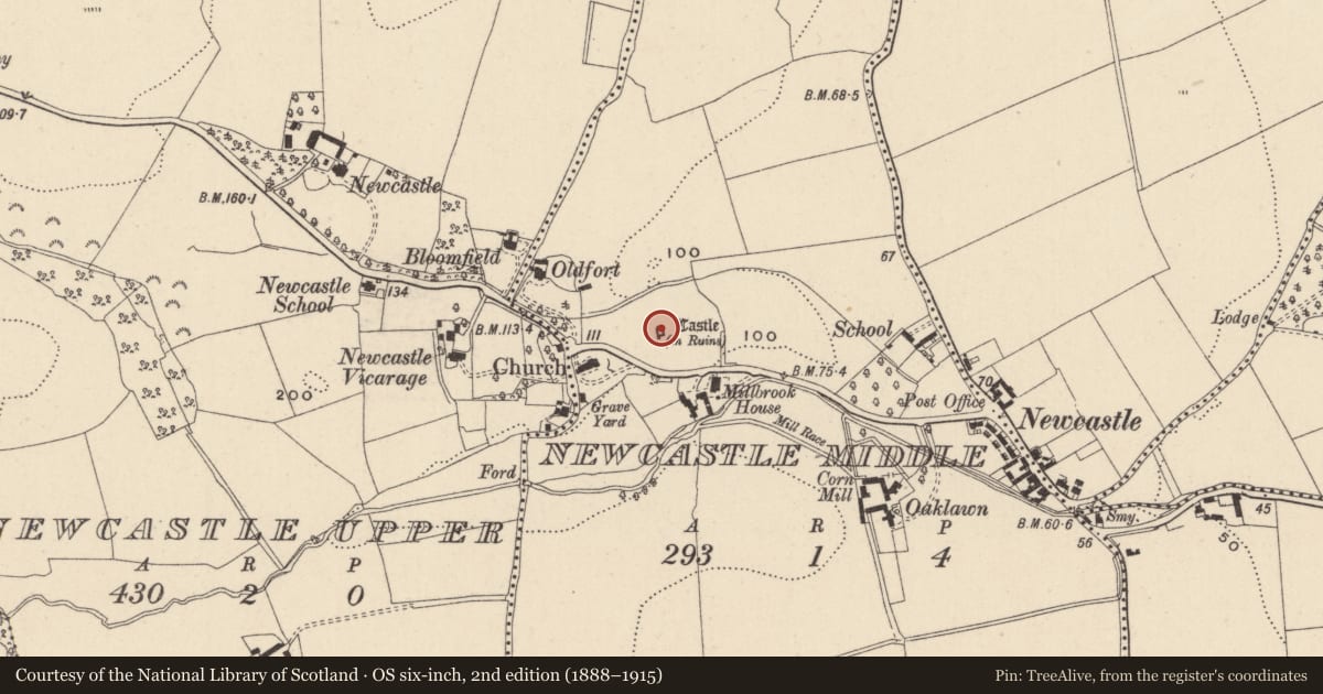 Ordnance Survey six-inch map, 2nd edition (1888–1915) covering the location of Castle - Anglo-Norman masonry castle, Newcastle Middle, County Wicklow, with a pin at the register's coordinates