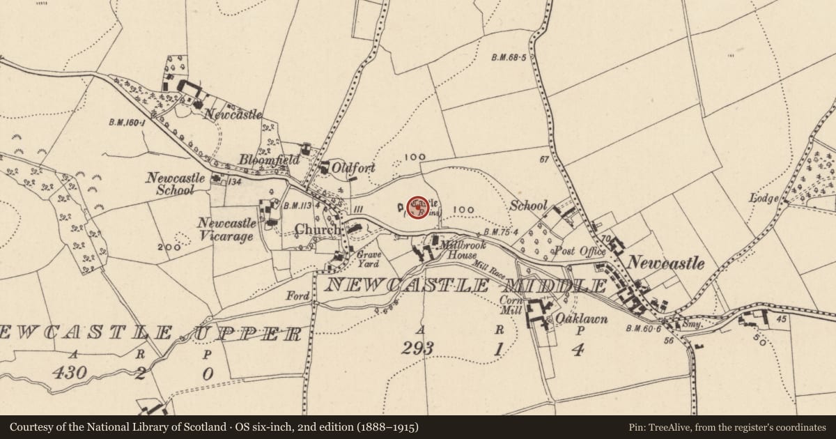 Ordnance Survey six-inch map, 2nd edition (1888–1915) covering the location of Castle - ringwork, Newcastle Middle, County Wicklow, with a pin at the register's coordinates