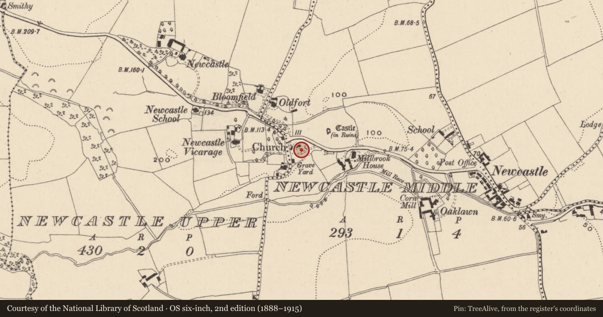 Ordnance Survey six-inch map, 2nd edition (1888–1915) covering the location of Graveyard, Newcastle Middle, County Wicklow, with a pin at the register's coordinates