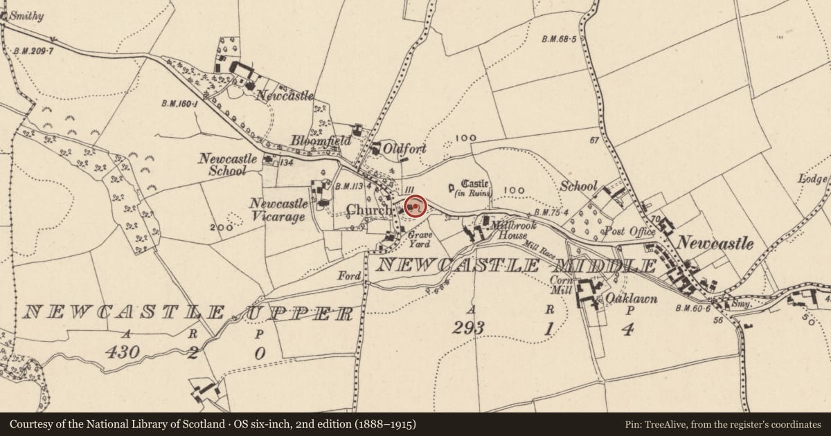 Ordnance Survey six-inch map, 2nd edition (1888–1915) covering the location of Headstone, Newcastle Middle, County Wicklow, with a pin at the register's coordinates
