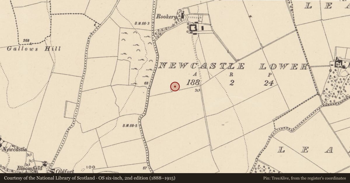 Ordnance Survey six-inch map, 2nd edition (1888–1915) covering the location of Ringfort - rath, Newcastle Lower, County Wicklow, with a pin at the register's coordinates
