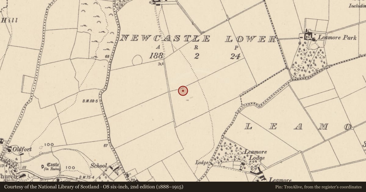 Ordnance Survey six-inch map, 2nd edition (1888–1915) covering the location of Enclosure, Newcastle Lower, County Wicklow, with a pin at the register's coordinates