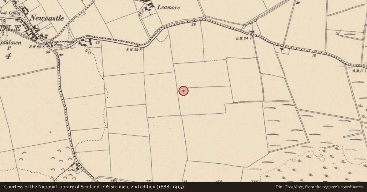 Ordnance Survey six-inch map, 2nd edition (1888–1915) covering the location of Cist, Blackditch, County Wicklow, with a pin at the register's coordinates