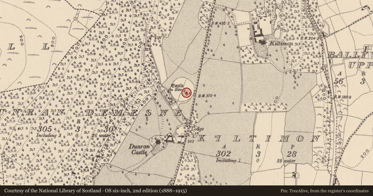 Ordnance Survey six-inch map, 2nd edition (1888–1915) covering the location of Castle - tower house, Dunran Demesne, County Wicklow, with a pin at the register's coordinates