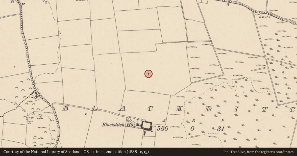 Ordnance Survey six-inch map, 2nd edition (1888–1915) covering the location of Enclosure, Blackditch, County Wicklow, with a pin at the register's coordinates