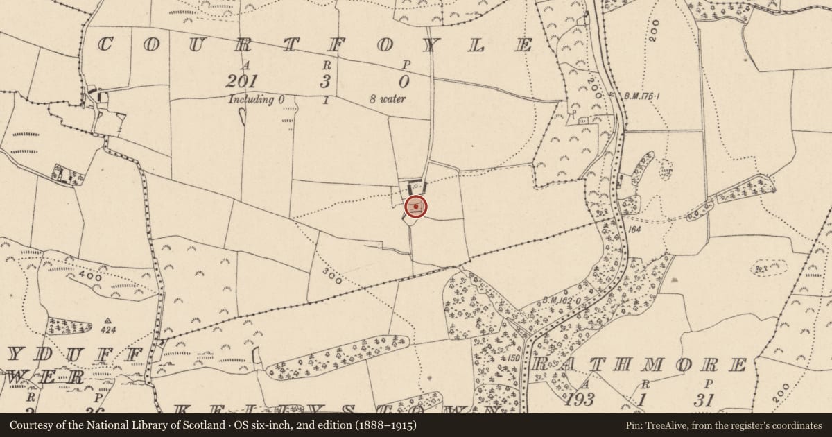Ordnance Survey six-inch map, 2nd edition (1888–1915) covering the location of Moated site, Courtfoyle, County Wicklow, with a pin at the register's coordinates