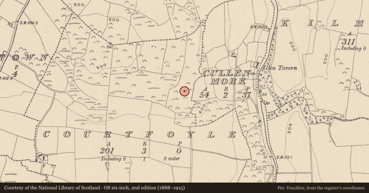 Ordnance Survey six-inch map, 2nd edition (1888–1915) covering the location of Enclosure, Courtfoyle, County Wicklow, with a pin at the register's coordinates