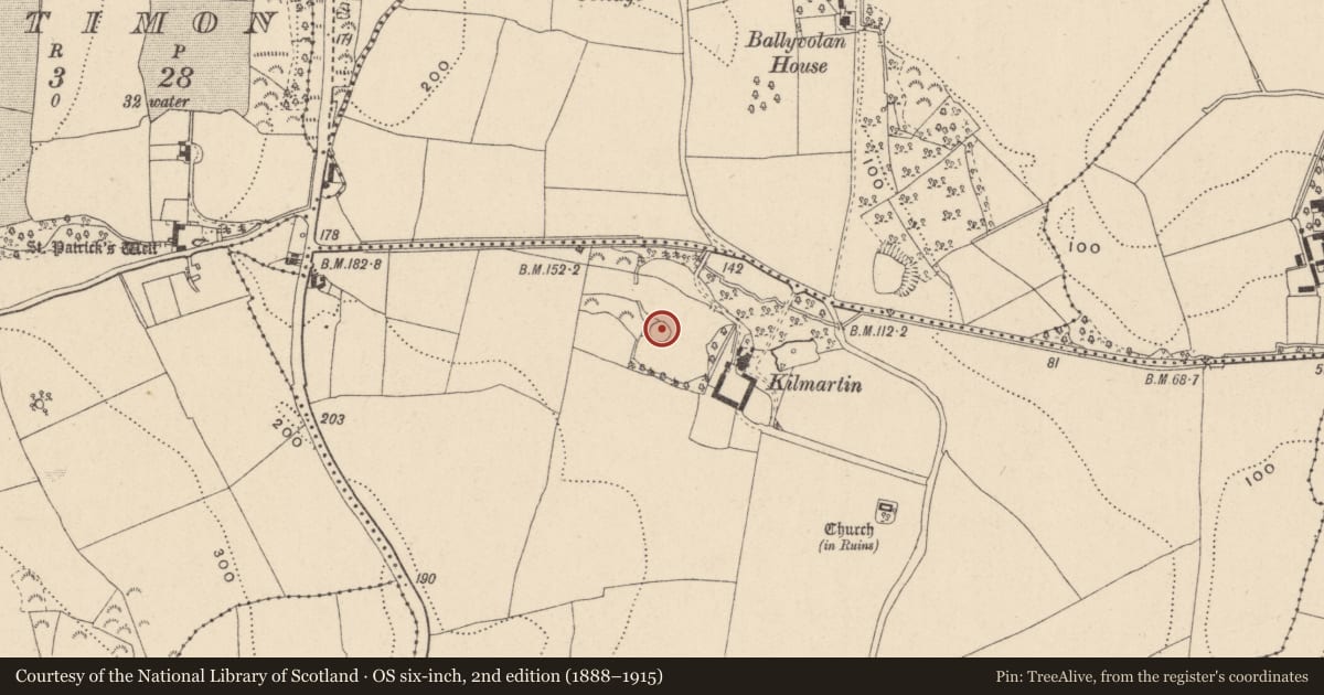 Ordnance Survey six-inch map, 2nd edition (1888–1915) covering the location of Ringfort - rath, Kilmartin, County Wicklow, with a pin at the register's coordinates