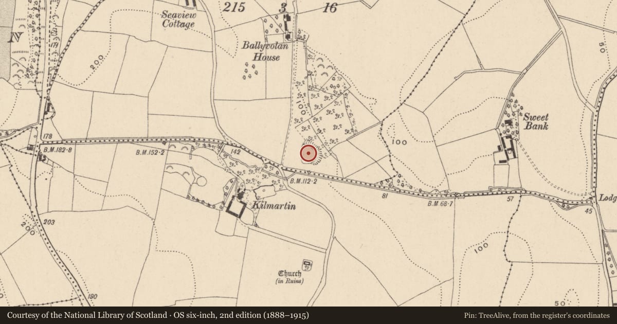 Ordnance Survey six-inch map, 2nd edition (1888–1915) covering the location of Castle - ringwork, Ballyvolan Lower, County Wicklow, with a pin at the register's coordinates