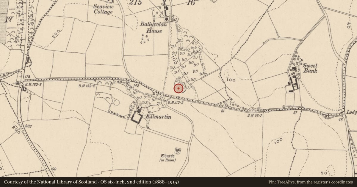 Ordnance Survey six-inch map, 2nd edition (1888–1915) covering the location of Castle - unclassified, Ballyvolan Lower, County Wicklow, with a pin at the register's coordinates