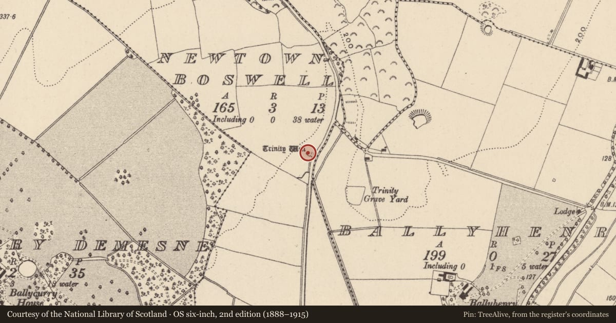 Ordnance Survey six-inch map, 2nd edition (1888–1915) covering the location of Ritual site - holy well, Newtownboswell, County Wicklow, with a pin at the register's coordinates