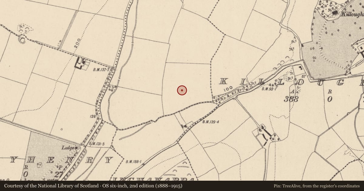 Ordnance Survey six-inch map, 2nd edition (1888–1915) covering the location of Enclosure, Rathmore, County Wicklow, with a pin at the register's coordinates