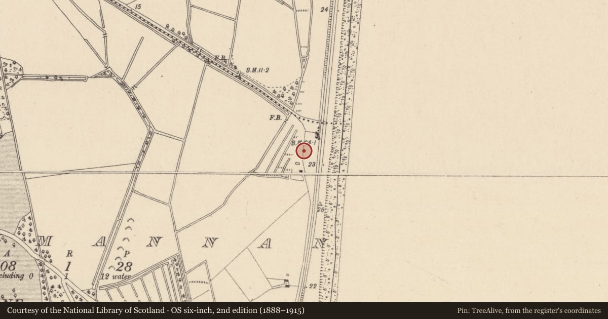 Ordnance Survey six-inch map, 2nd edition (1888–1915) covering the location of Prehistoric site - lithic scatter, Clonmannan, County Wicklow, with a pin at the register's coordinates