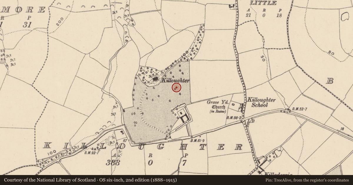Ordnance Survey six-inch map, 2nd edition (1888–1915) covering the location of Field system, Killoughter, County Wicklow, with a pin at the register's coordinates