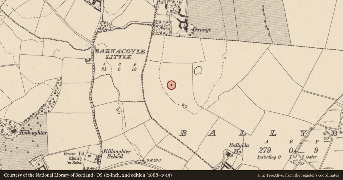 Ordnance Survey six-inch map, 2nd edition (1888–1915) covering the location of Enclosure, Ballybla, County Wicklow, with a pin at the register's coordinates