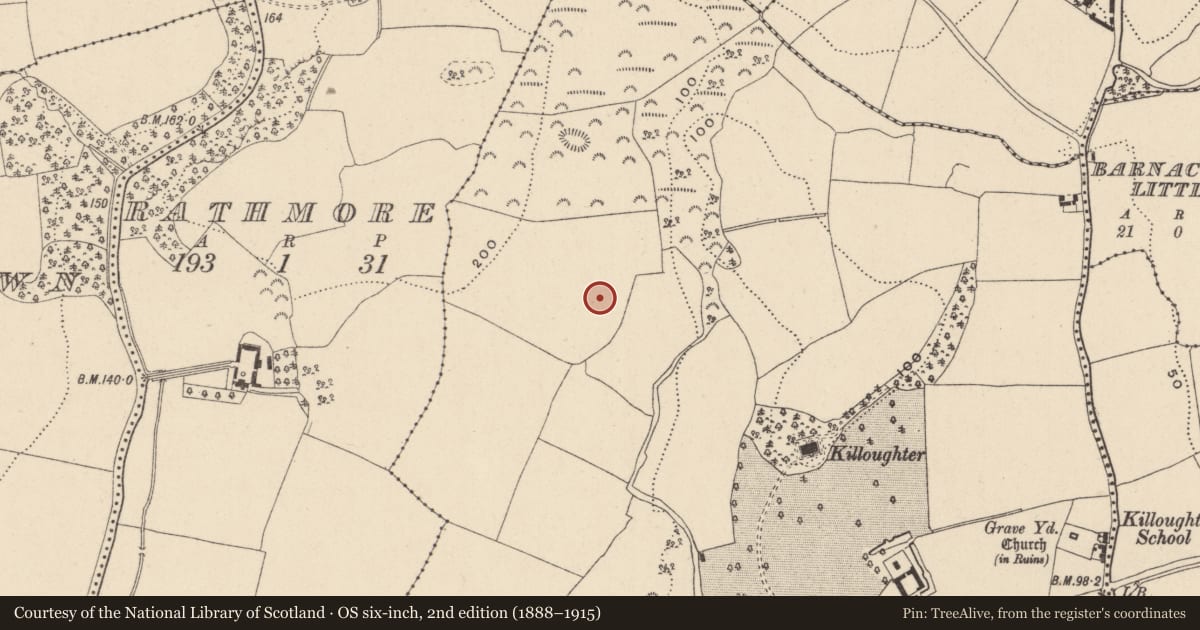 Ordnance Survey six-inch map, 2nd edition (1888–1915) covering the location of Field system, Killoughter, County Wicklow, with a pin at the register's coordinates