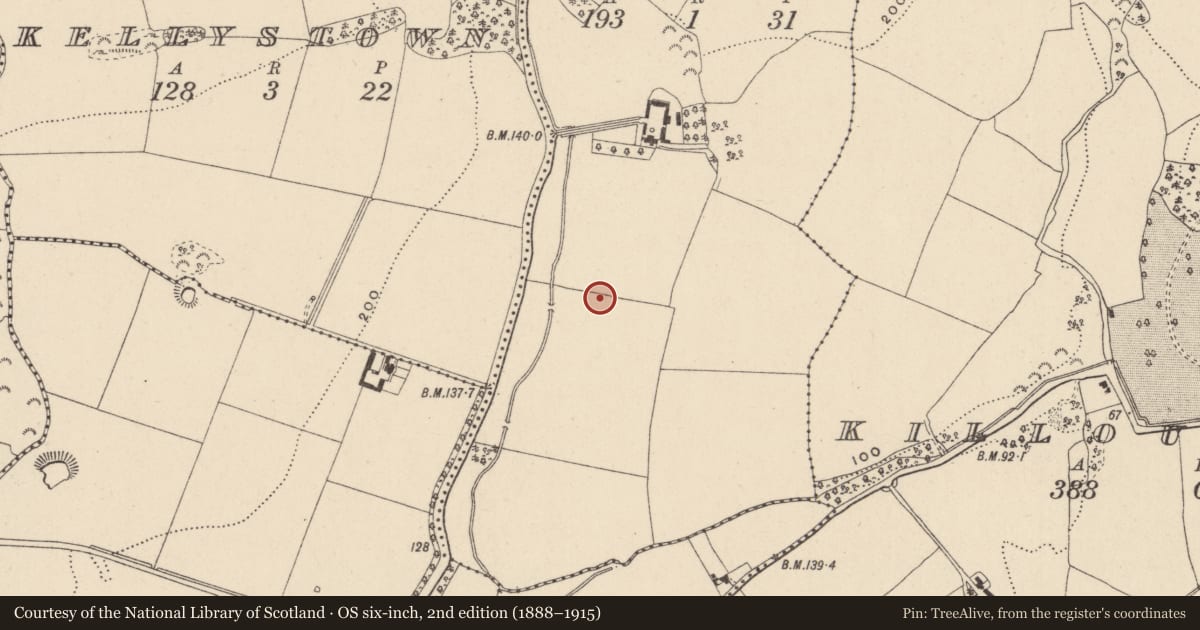 Ordnance Survey six-inch map, 2nd edition (1888–1915) covering the location of Field system, Rathmore, County Wicklow, with a pin at the register's coordinates