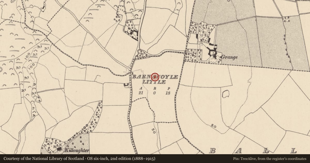 Ordnance Survey six-inch map, 2nd edition (1888–1915) covering the location of Field system, Barnacoyle Little, County Wicklow, with a pin at the register's coordinates