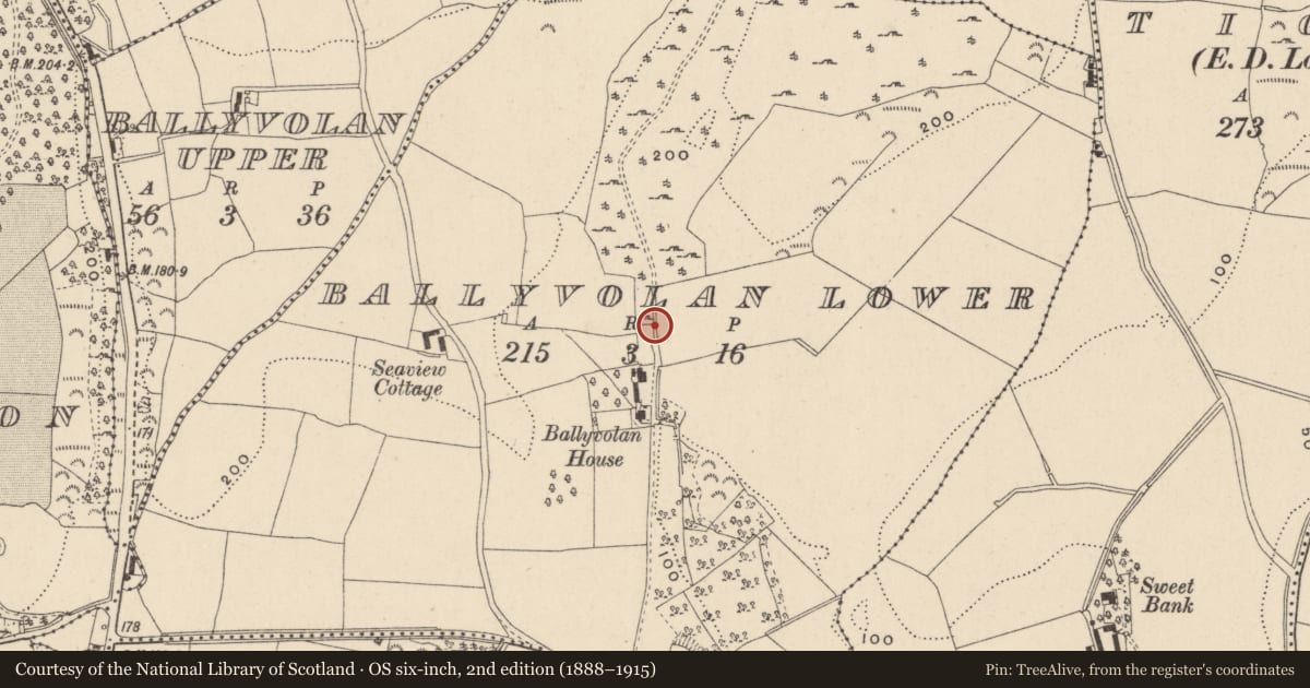 Ordnance Survey six-inch map, 2nd edition (1888–1915) covering the location of Bullaun stone, Ballyvolan Lower, County Wicklow, with a pin at the register's coordinates