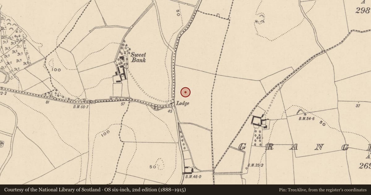Ordnance Survey six-inch map, 2nd edition (1888–1915) covering the location of Fulacht fia, Barnacoyle Big, County Wicklow, with a pin at the register's coordinates