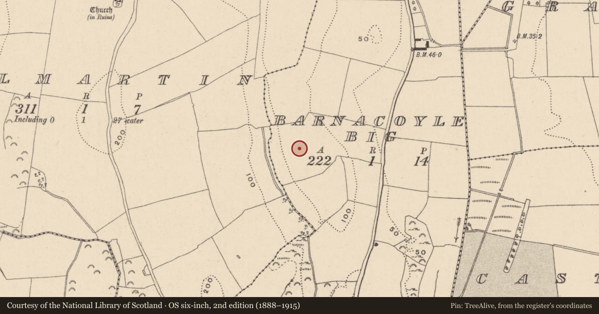 Ordnance Survey six-inch map, 2nd edition (1888–1915) covering the location of Excavation - miscellaneous, Barnacoyle Big, County Wicklow, with a pin at the register's coordinates