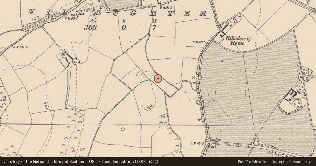 Ordnance Survey six-inch map, 2nd edition (1888–1915) covering the location of Fulacht fia, Killoughter, County Wicklow, with a pin at the register's coordinates