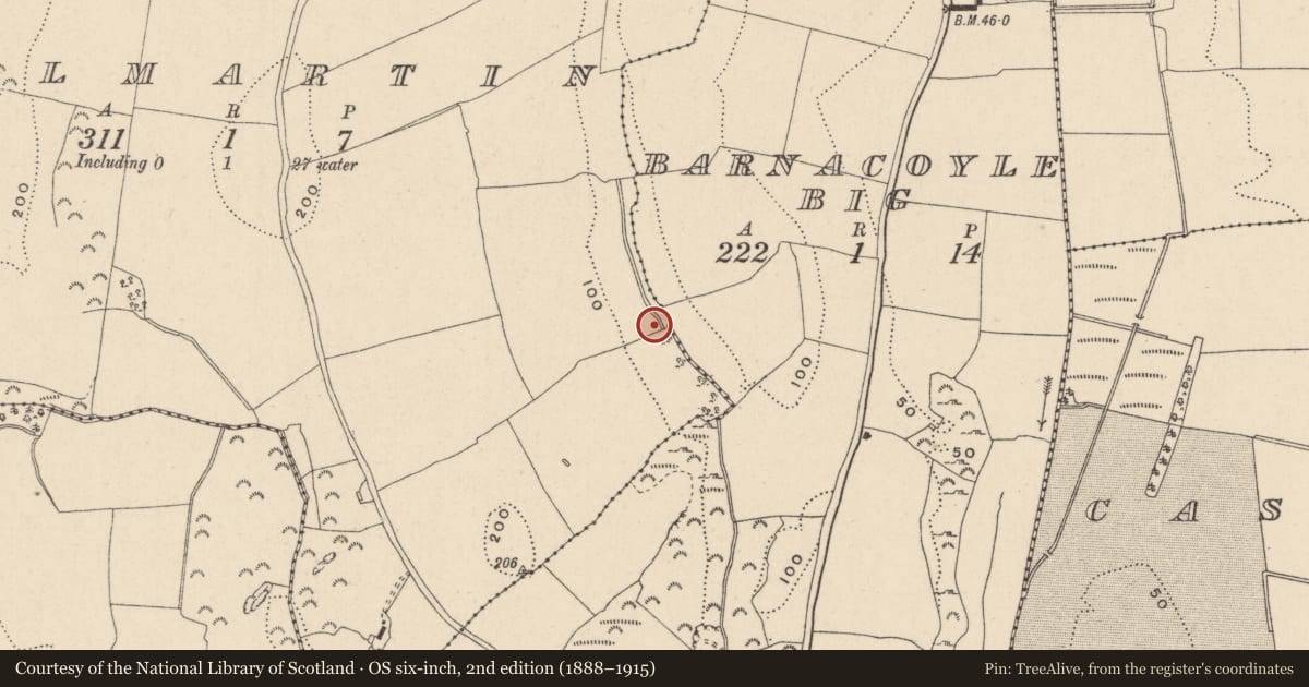 Ordnance Survey six-inch map, 2nd edition (1888–1915) covering the location of Fulacht fia, Kilmartin, County Wicklow, with a pin at the register's coordinates