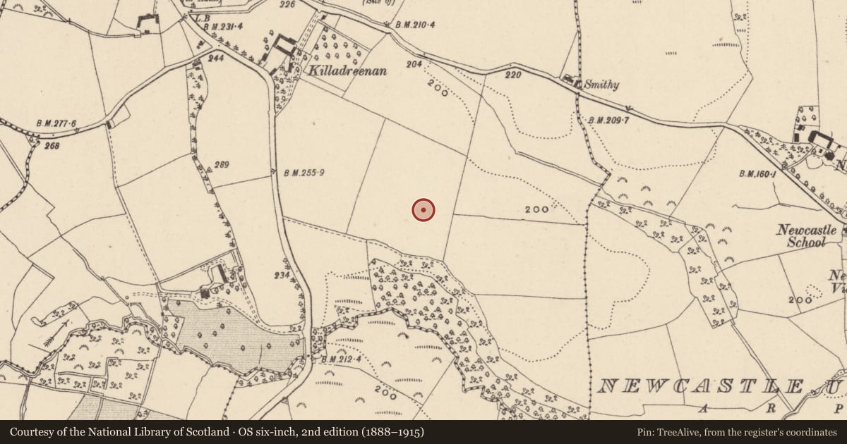 Ordnance Survey six-inch map, 2nd edition (1888–1915) covering the location of Flat cemetery, Killadreenan, County Wicklow, with a pin at the register's coordinates