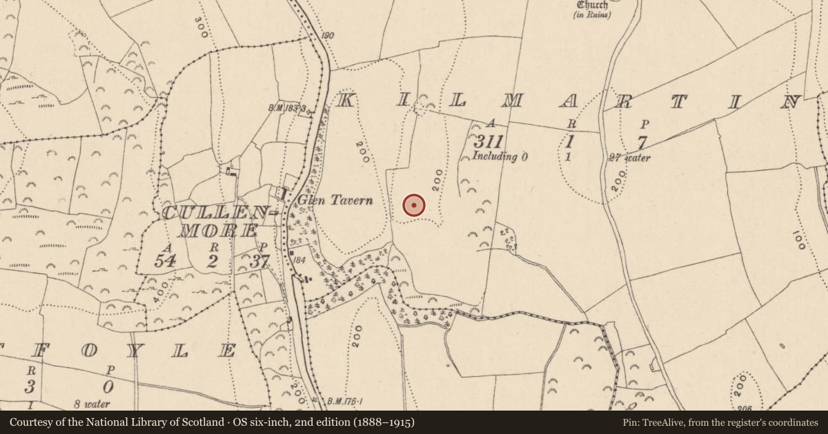Ordnance Survey six-inch map, 2nd edition (1888–1915) covering the location of Habitation site, Kilmartin, County Wicklow, with a pin at the register's coordinates