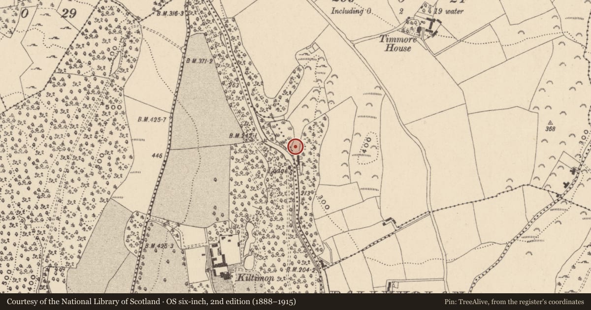 Ordnance Survey six-inch map, 2nd edition (1888–1915) covering the location of Fulacht fia, Timmore, County Wicklow, with a pin at the register's coordinates