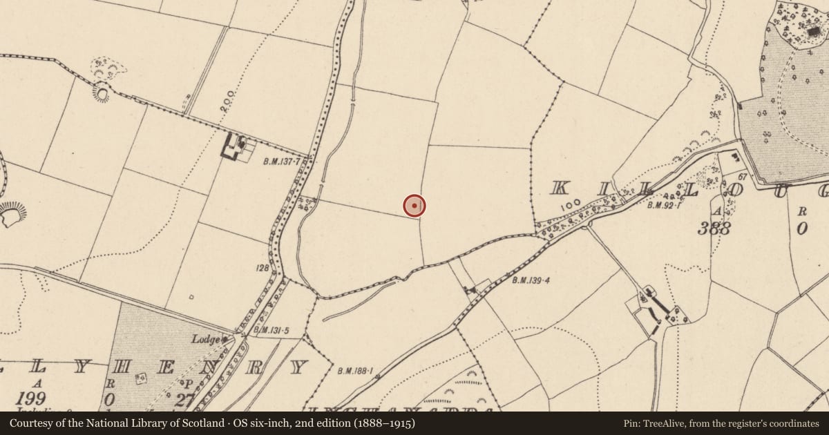 Ordnance Survey six-inch map, 2nd edition (1888–1915) covering the location of Habitation site, Rathmore, County Wicklow, with a pin at the register's coordinates