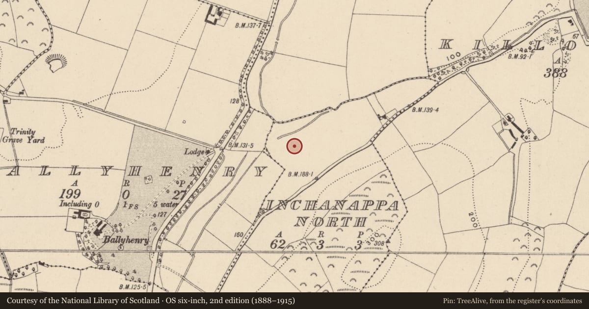 Ordnance Survey six-inch map, 2nd edition (1888–1915) covering the location of Fulacht fia, Inchanappa North, County Wicklow, with a pin at the register's coordinates