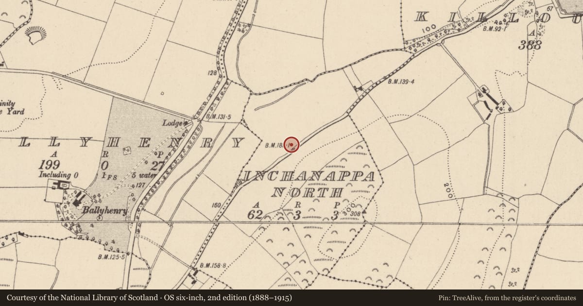 Ordnance Survey six-inch map, 2nd edition (1888–1915) covering the location of Excavation - miscellaneous, Inchanappa North, County Wicklow, with a pin at the register's coordinates