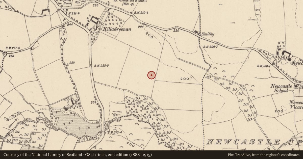 Ordnance Survey six-inch map, 2nd edition (1888–1915) covering the location of Excavation - miscellaneous, Killadreenan, County Wicklow, with a pin at the register's coordinates