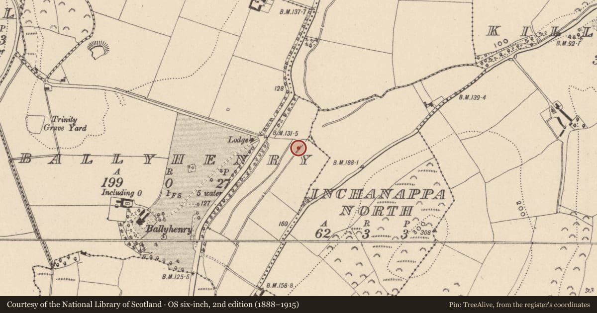Ordnance Survey six-inch map, 2nd edition (1888–1915) covering the location of Fulacht fia, Ballyhenry, County Wicklow, with a pin at the register's coordinates