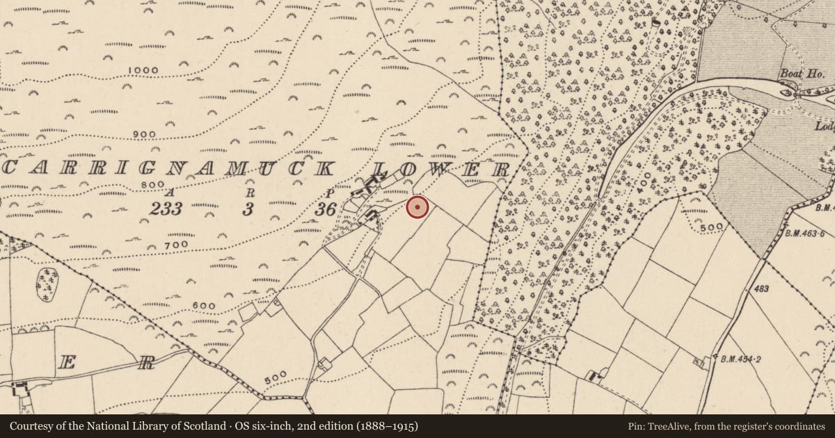 Ordnance Survey six-inch map, 2nd edition (1888–1915) covering the location of Cairn - unclassified, Carrignamuck Lower, County Wicklow, with a pin at the register's coordinates