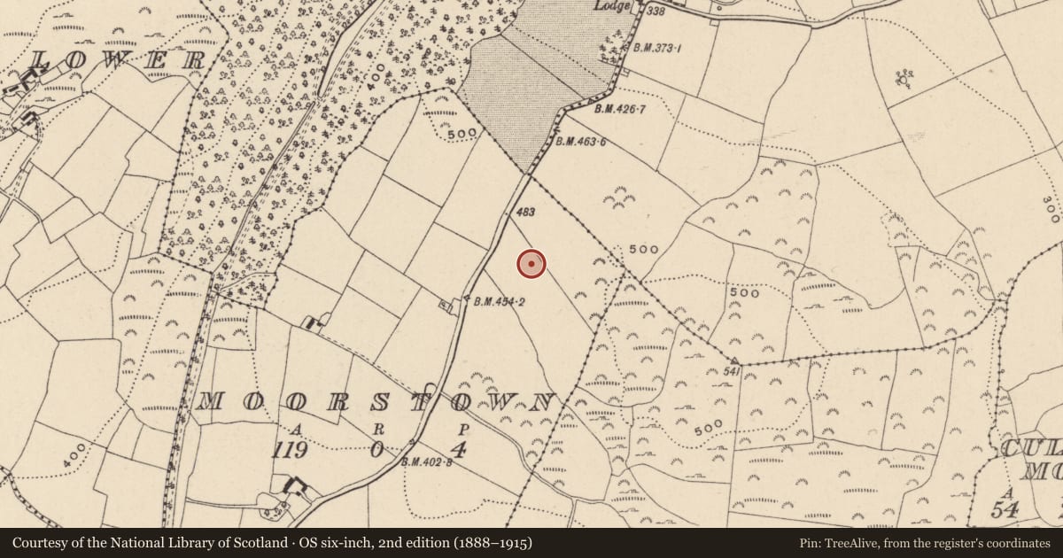 Ordnance Survey six-inch map, 2nd edition (1888–1915) covering the location of Standing stone, Moorstown, County Wicklow, with a pin at the register's coordinates