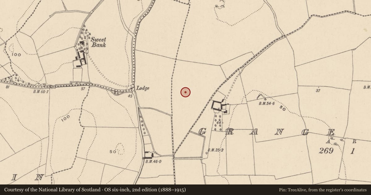 Ordnance Survey six-inch map, 2nd edition (1888–1915) covering the location of Field system, Grange North, County Wicklow, with a pin at the register's coordinates