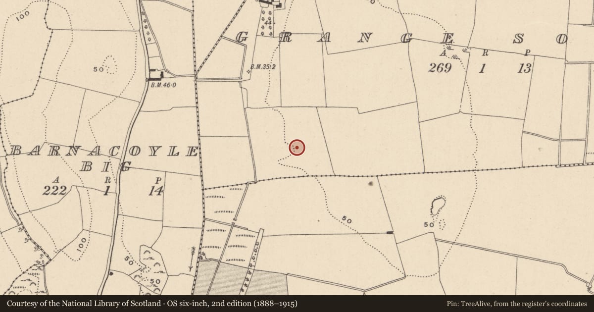 Ordnance Survey six-inch map, 2nd edition (1888–1915) covering the location of Enclosure, Grange South, County Wicklow, with a pin at the register's coordinates