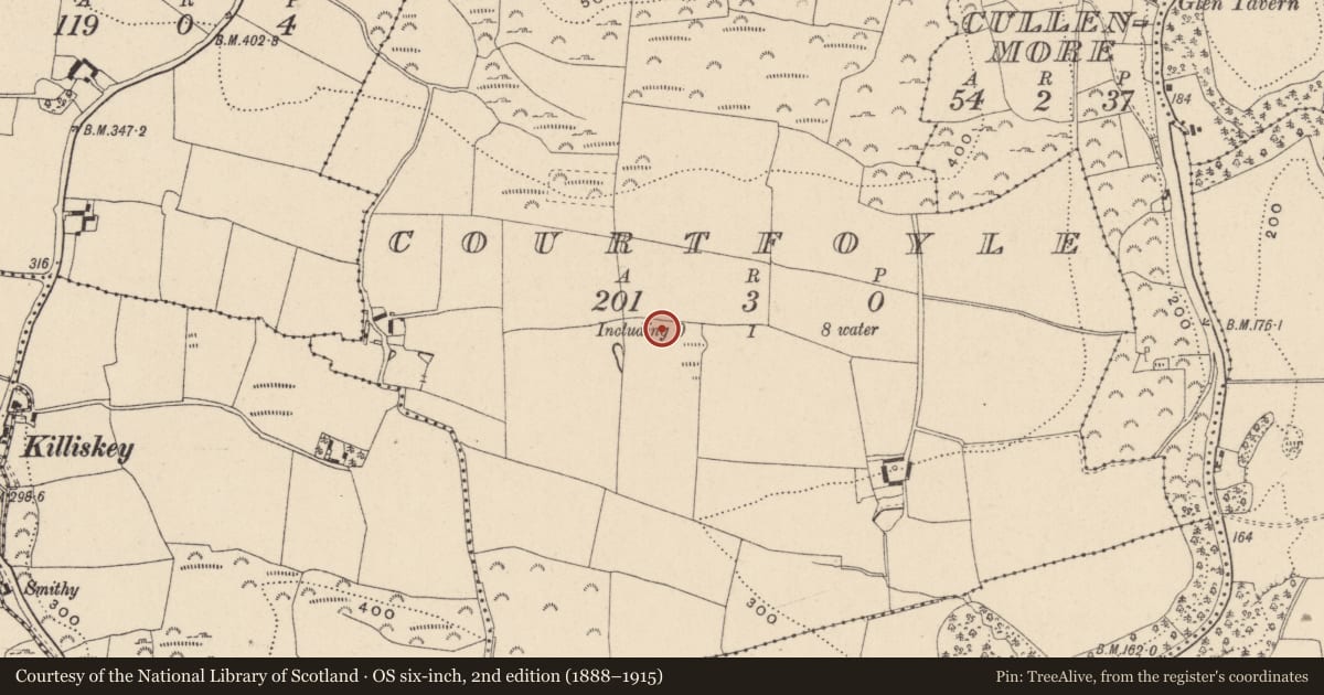 Ordnance Survey six-inch map, 2nd edition (1888–1915) covering the location of Enclosure, Courtfoyle, County Wicklow, with a pin at the register's coordinates