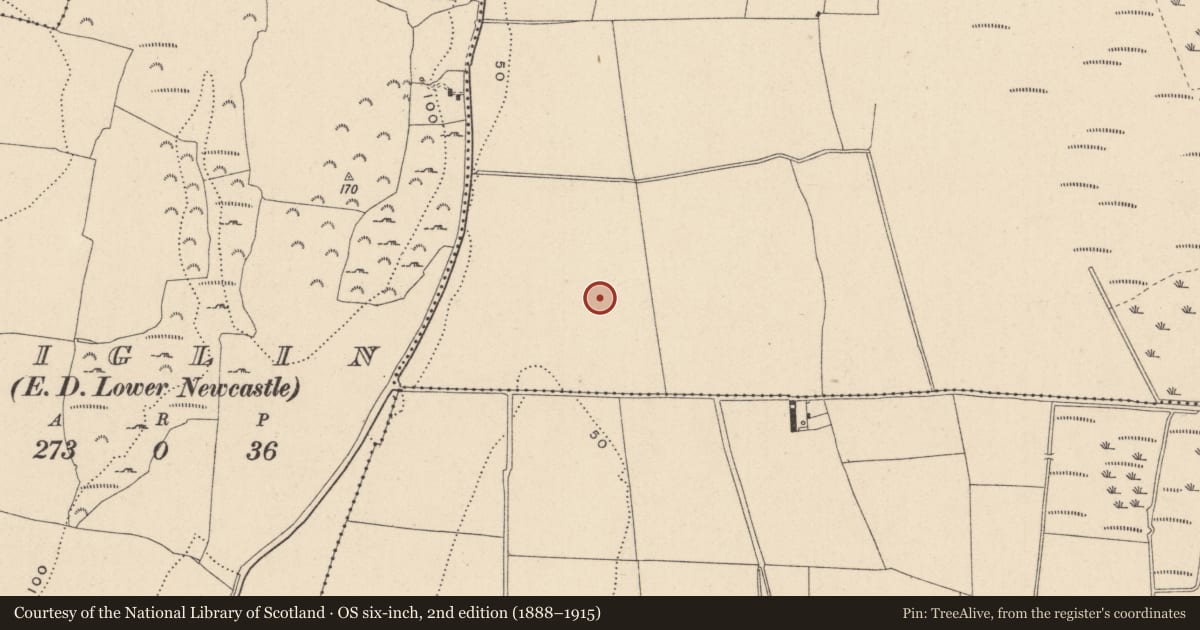 Ordnance Survey six-inch map, 2nd edition (1888–1915) covering the location of Enclosure, Blackditch, County Wicklow, with a pin at the register's coordinates