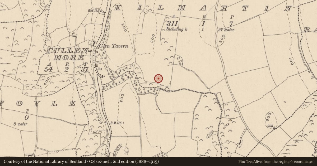 Ordnance Survey six-inch map, 2nd edition (1888–1915) covering the location of Habitation site, Kilmartin, County Wicklow, with a pin at the register's coordinates