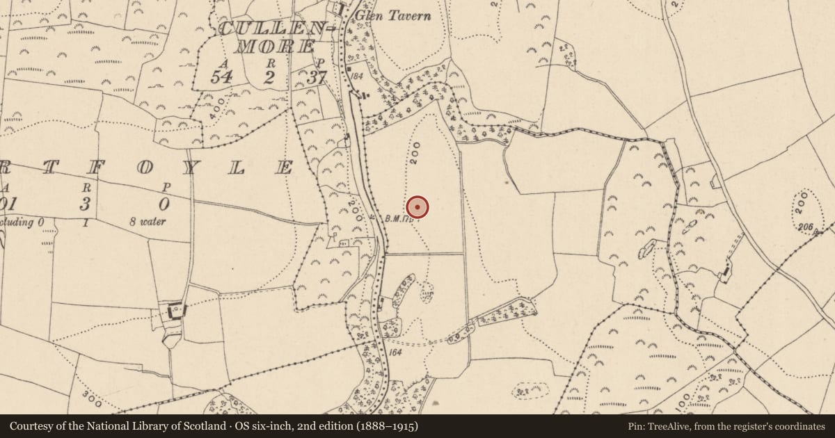 Ordnance Survey six-inch map, 2nd edition (1888–1915) covering the location of Fulacht fia, Rathmore, County Wicklow, with a pin at the register's coordinates