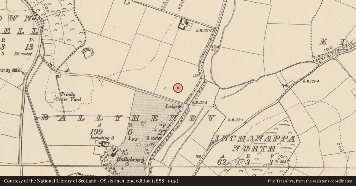Ordnance Survey six-inch map, 2nd edition (1888–1915) covering the location of Fulacht fia, Ballyhenry, County Wicklow, with a pin at the register's coordinates