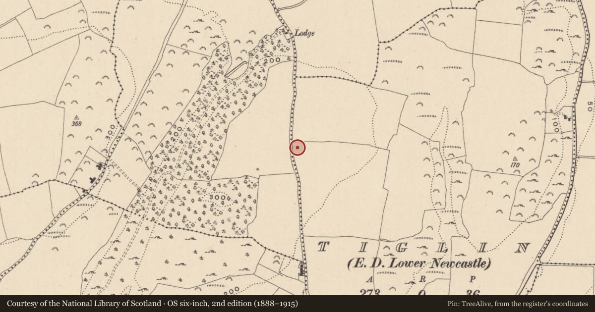 Ordnance Survey six-inch map, 2nd edition (1888–1915) covering the location of Fulacht fia, Tiglin, County Wicklow, with a pin at the register's coordinates