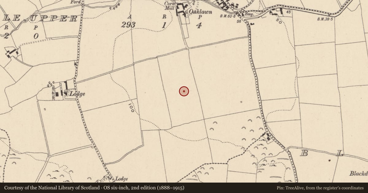 Ordnance Survey six-inch map, 2nd edition (1888–1915) covering the location of Barrow - unclassified, Newcastle Middle, County Wicklow, with a pin at the register's coordinates
