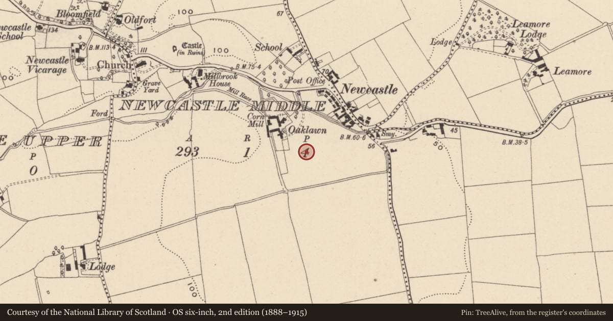 Ordnance Survey six-inch map, 2nd edition (1888–1915) covering the location of Ring-ditch, Newcastle Middle, County Wicklow, with a pin at the register's coordinates