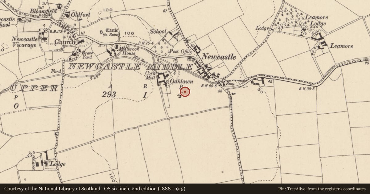 Ordnance Survey six-inch map, 2nd edition (1888–1915) covering the location of Ring-ditch, Newcastle Middle, County Wicklow, with a pin at the register's coordinates