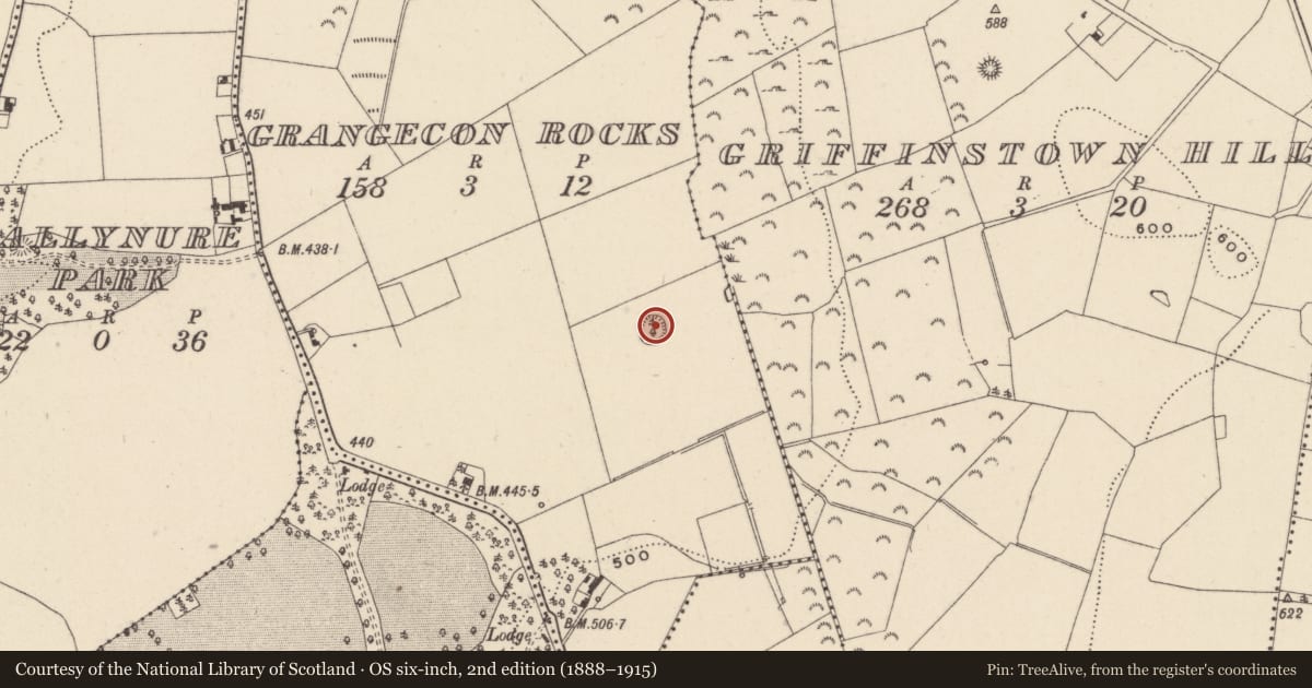 Ordnance Survey six-inch map, 2nd edition (1888–1915) covering the location of Ringfort - rath, Grangecon Rocks, County Wicklow, with a pin at the register's coordinates