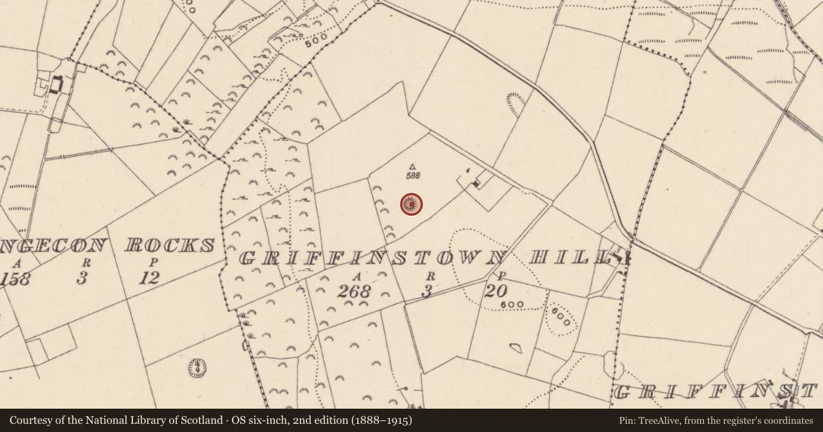 Ordnance Survey six-inch map, 2nd edition (1888–1915) covering the location of Enclosure, Griffinstown Hill, County Wicklow, with a pin at the register's coordinates